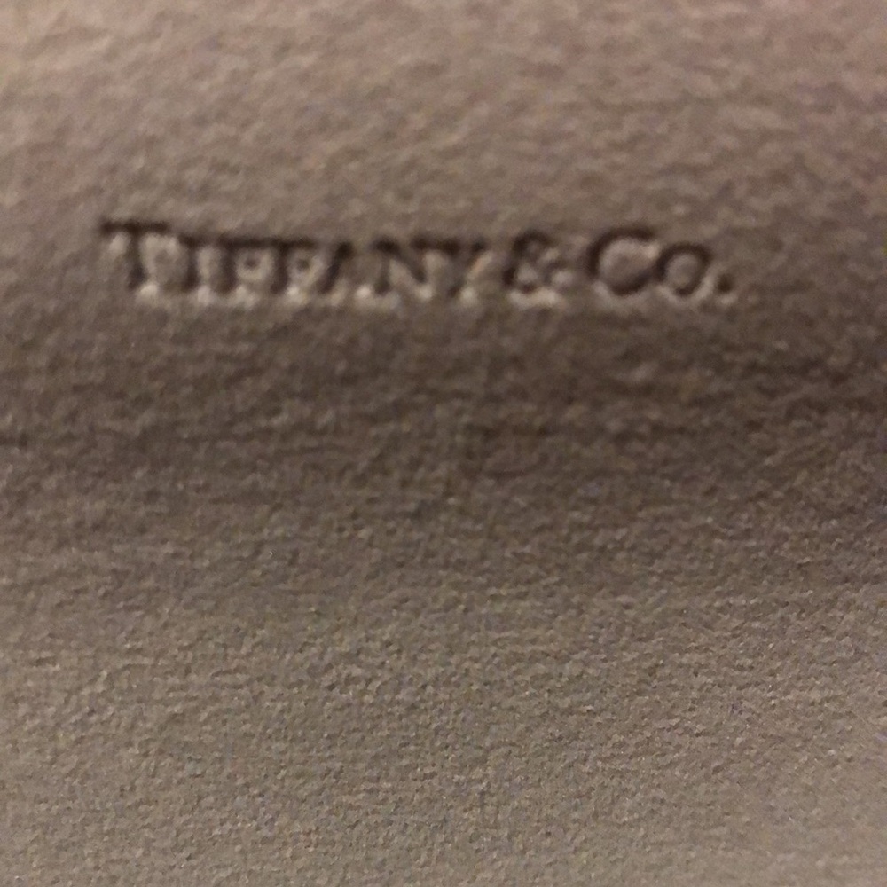 Tiffany & Co. Eyeglass Case - Picture 5 of 8
